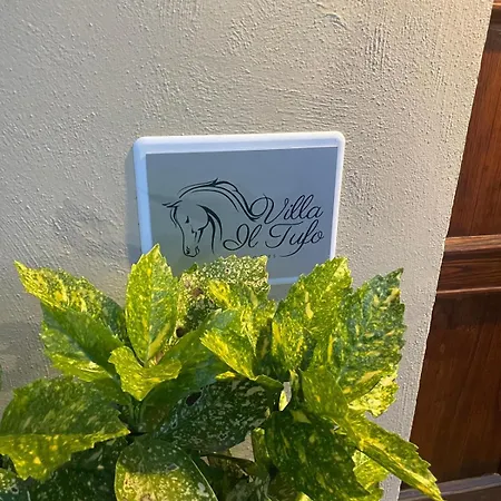Guest house Il Tufo Siena